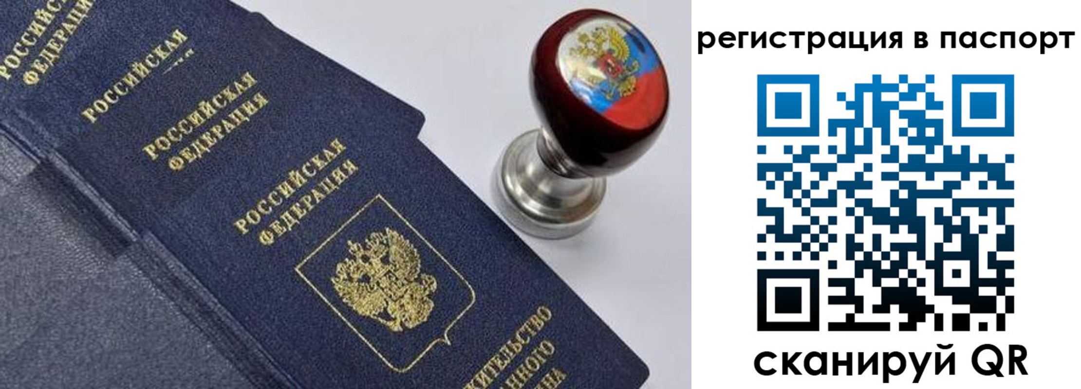 прописка поиск в Саранске